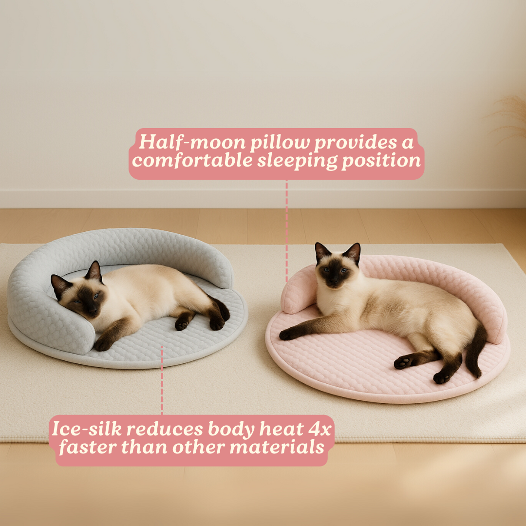 Breeze Bed