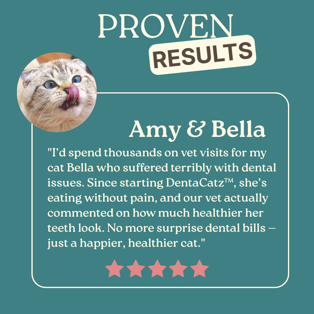 DentaCatz™ - Advanced Dental Formula