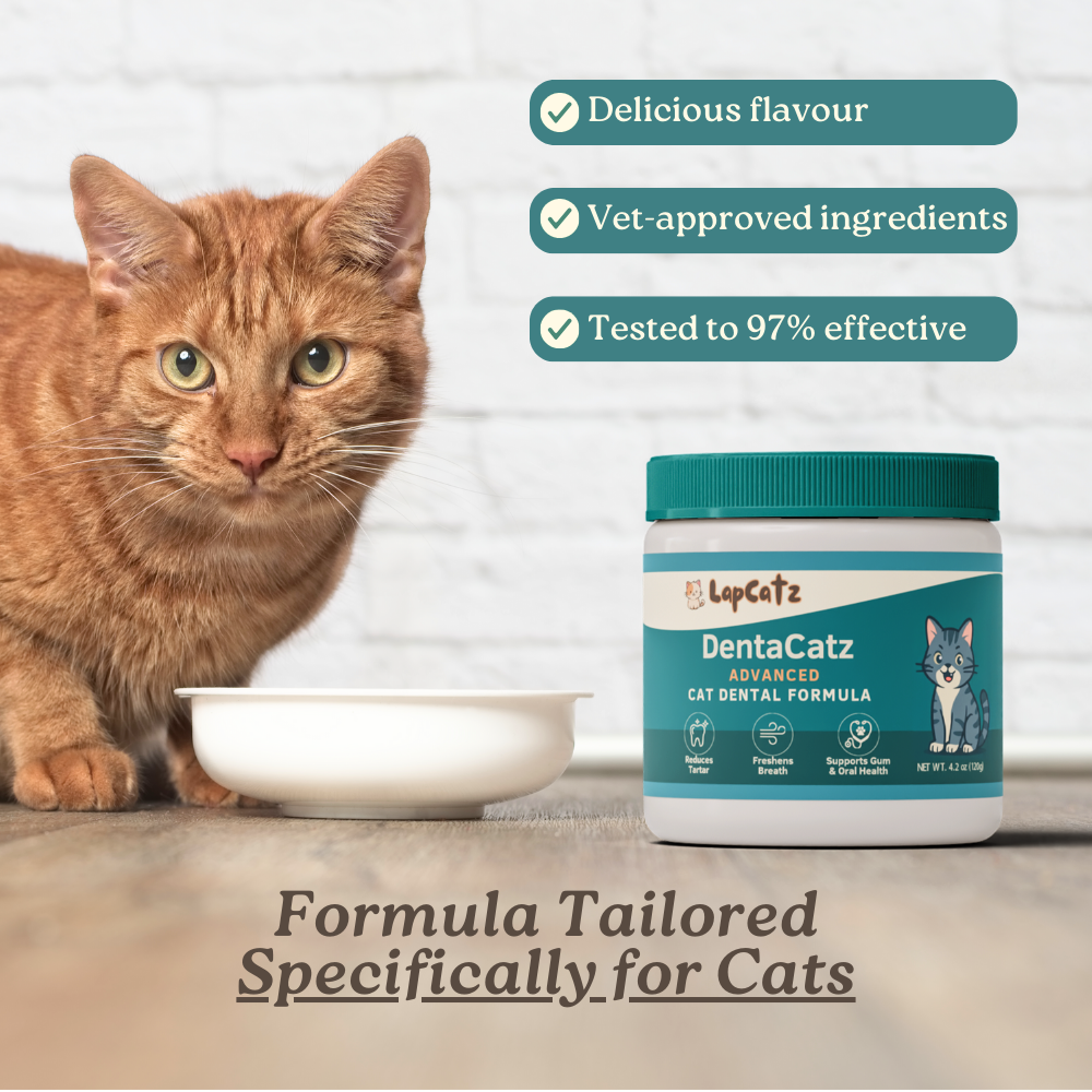 DentaCatz™ - Advanced Dental Formula