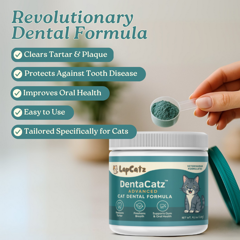 DentaCatz™ - Advanced Dental Blend
