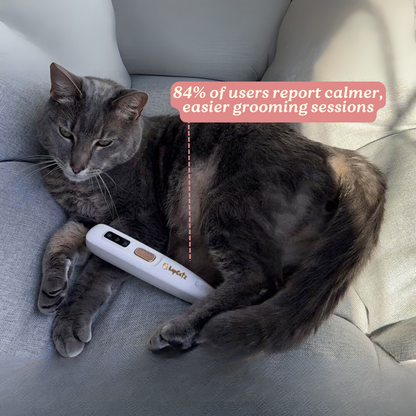 Kitty Clippers