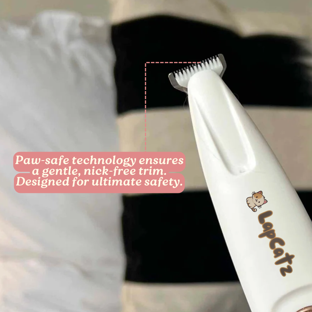 Kitty Clippers