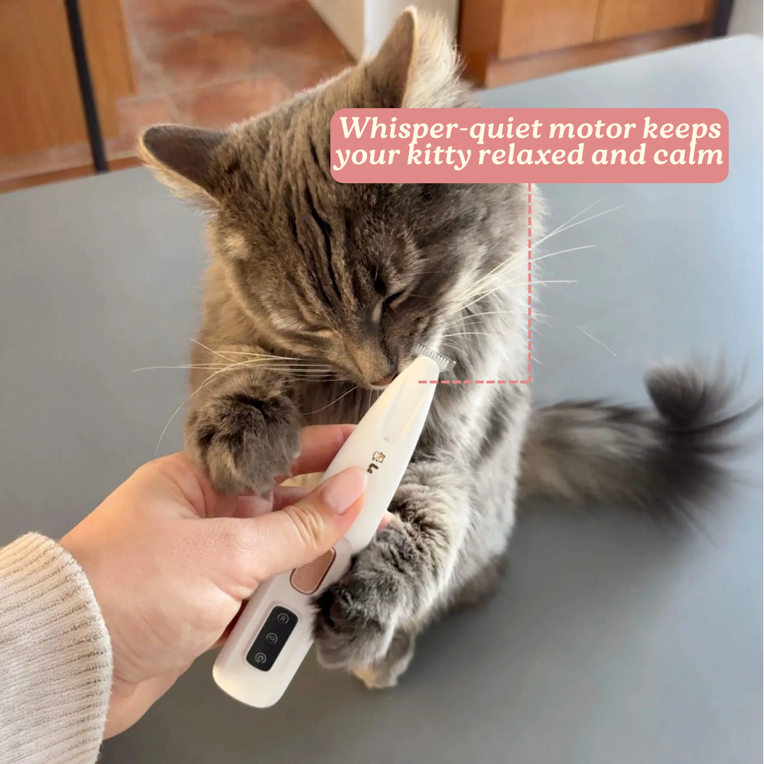 Kitty Clippers