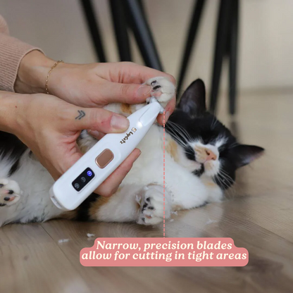 Kitty Clippers