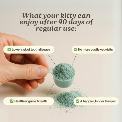 DentaCatz™ - Advanced Dental Blend
