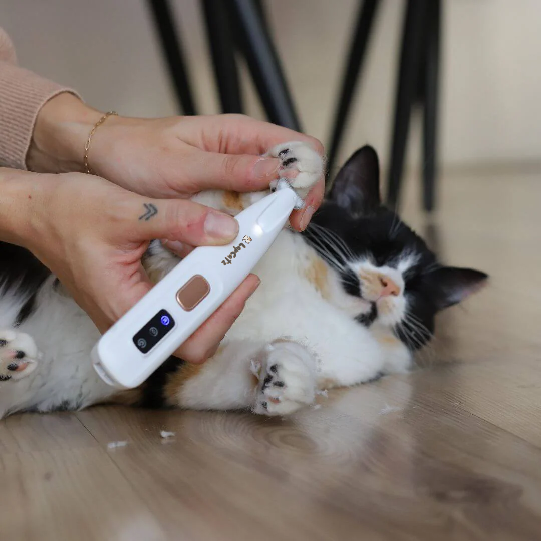 Kitty Clippers