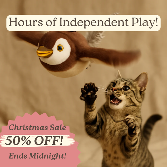 FlappyFella™ Interactive Toy