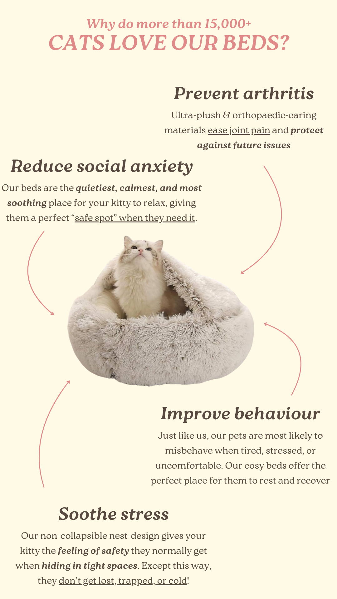Nest Cat Bed 19 Your cats new favourite bed 2 dd379205 e7fc 4f78 ae91 9c6864b5e16d